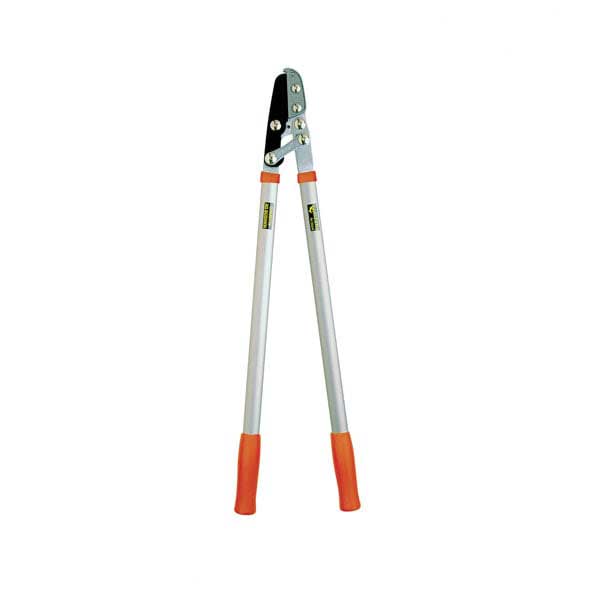 2289 شاخه زن بلند آلتونا اسپانیا