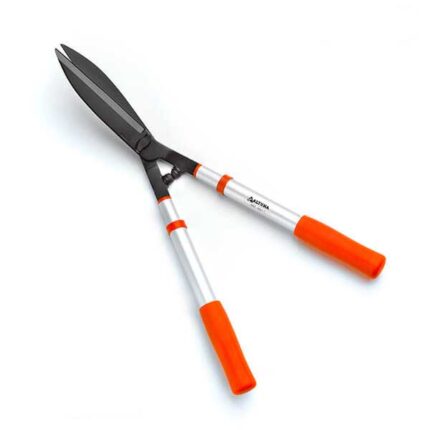 شمشاد زن آلتونا